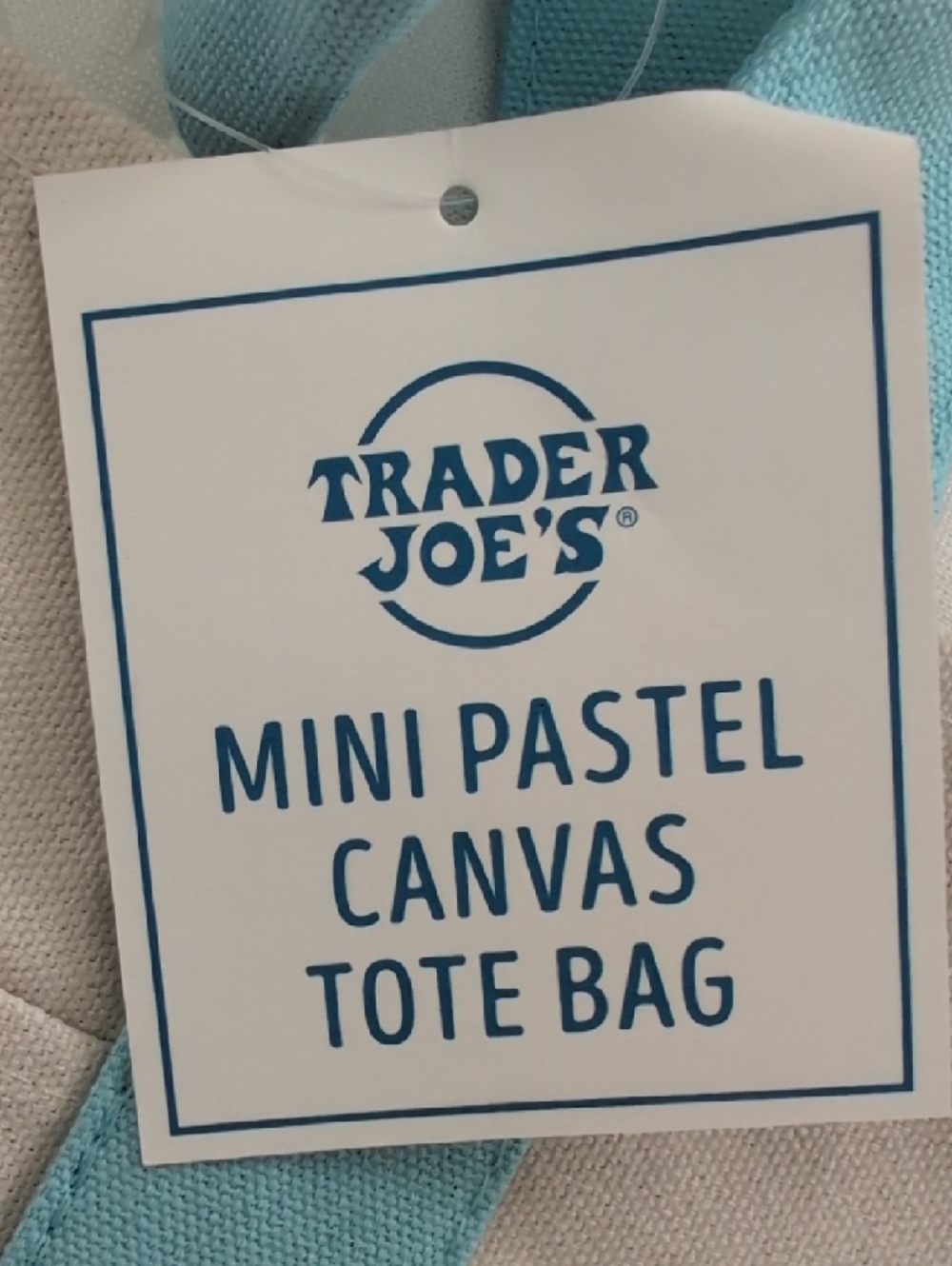 TRADER JOE'S Mini Pastel Canvas Tote Bag Light Blue Trim - Picture 3 of 8